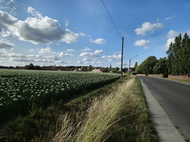 Bellegem, West-Vlaanderen (België)